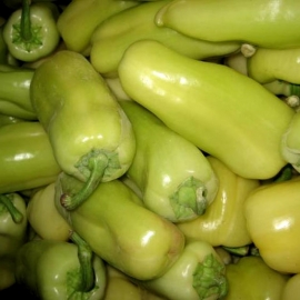 Papriky zelené (bílé) z Tvarožné 0,5kg