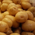 BIO brambory žluté z Vysočiny 1kg