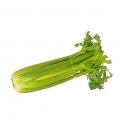 BIO řapíkatý celer CZ 0,5kg