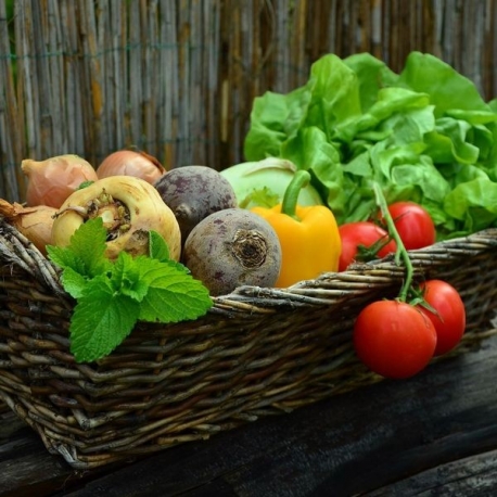 Farmbox OCHUTNEJ - Z pole přímo k Vám