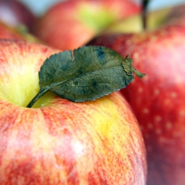 Jablka Braeburn 0,5kg