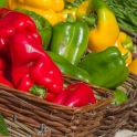 BIO papriky barevné ze Znojemska 0,5 kg