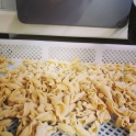 Cellesta - campanelle 250g