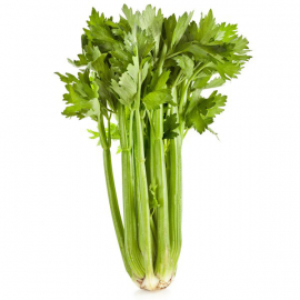 BIO celer řapíkatý ze Znojemska 1ks
