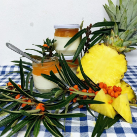 Slížanský jogurt rakytník s ananasem 200ml