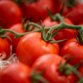 Cherry rajčata od Třebíče 0,25kg