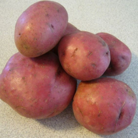 Brambory červené nestříkané 1 kg