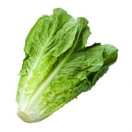 Obrázek_(1)