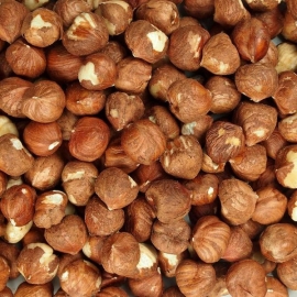 Ořechy a semena