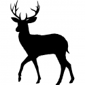 Zvěřina